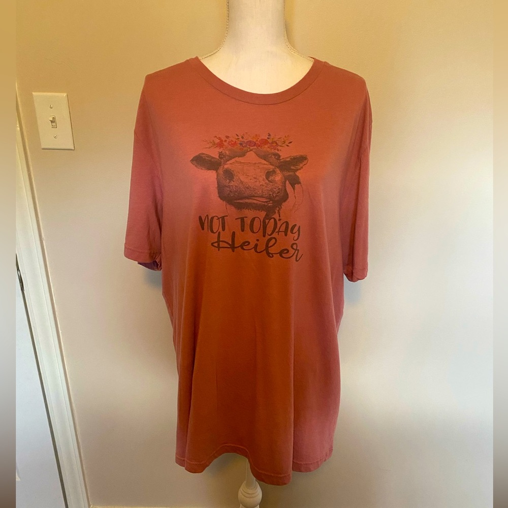 Graphics tee shirt by Bella Canvas